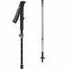 Black Diamond Distance FLZ Trekking Poles -Black Iamond Online Shop ICE
